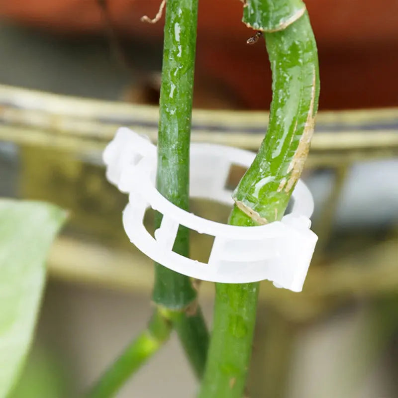 Plant Support Clips Luxinsly