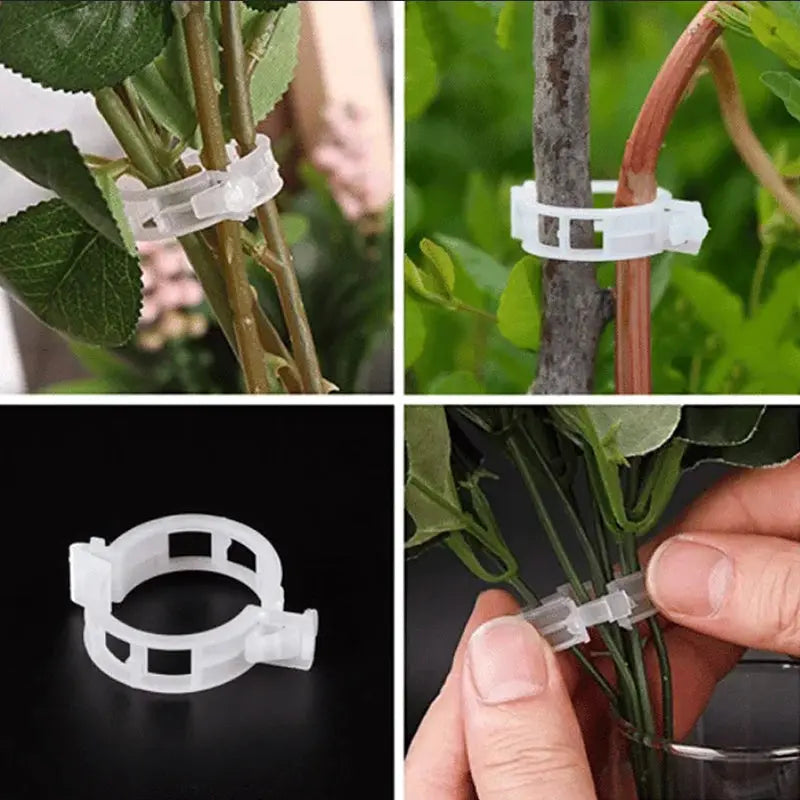 Plant Support Clips Luxinsly