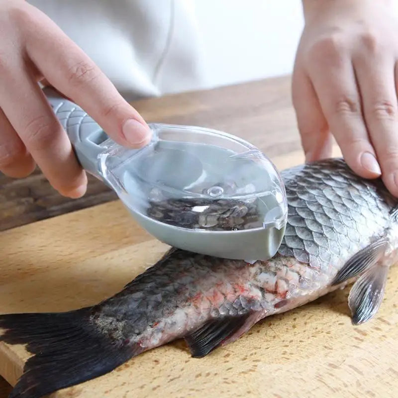 Fish Scale Grater & Scraper with Cover | Efficient Fish Cleaning Tool