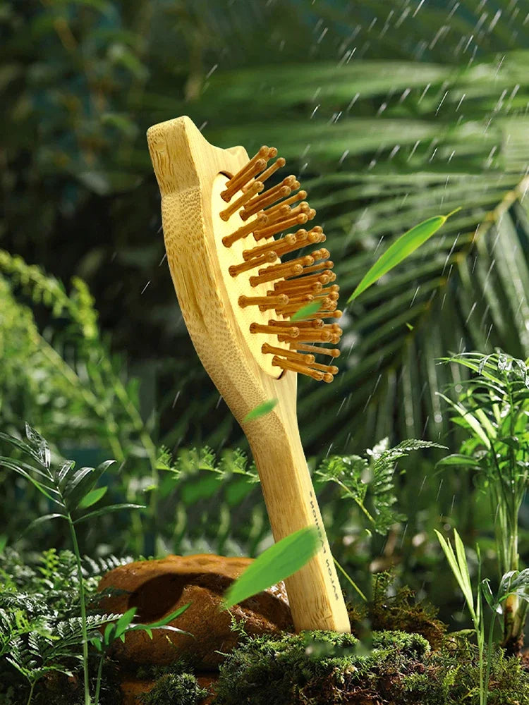 Eco-Friendly Bamboo Hair Brush