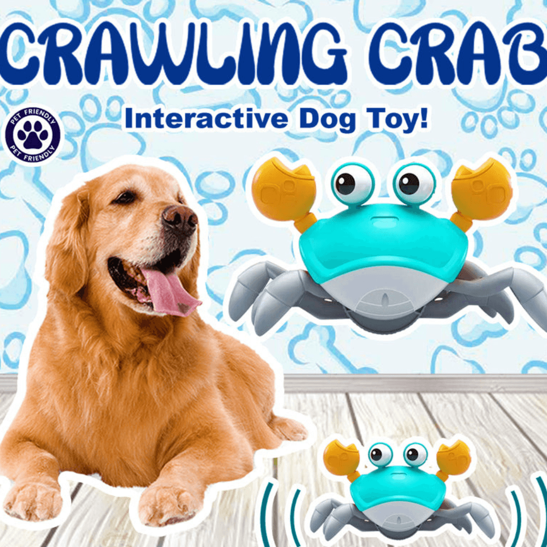 Crawling Crab™ For Dogs - Luxinsly