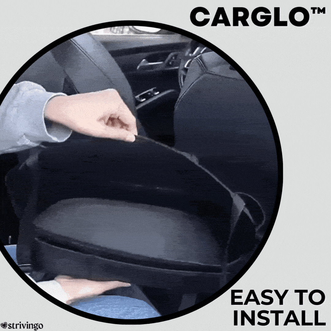Carglo Car Storage| Pocket 50% OFF