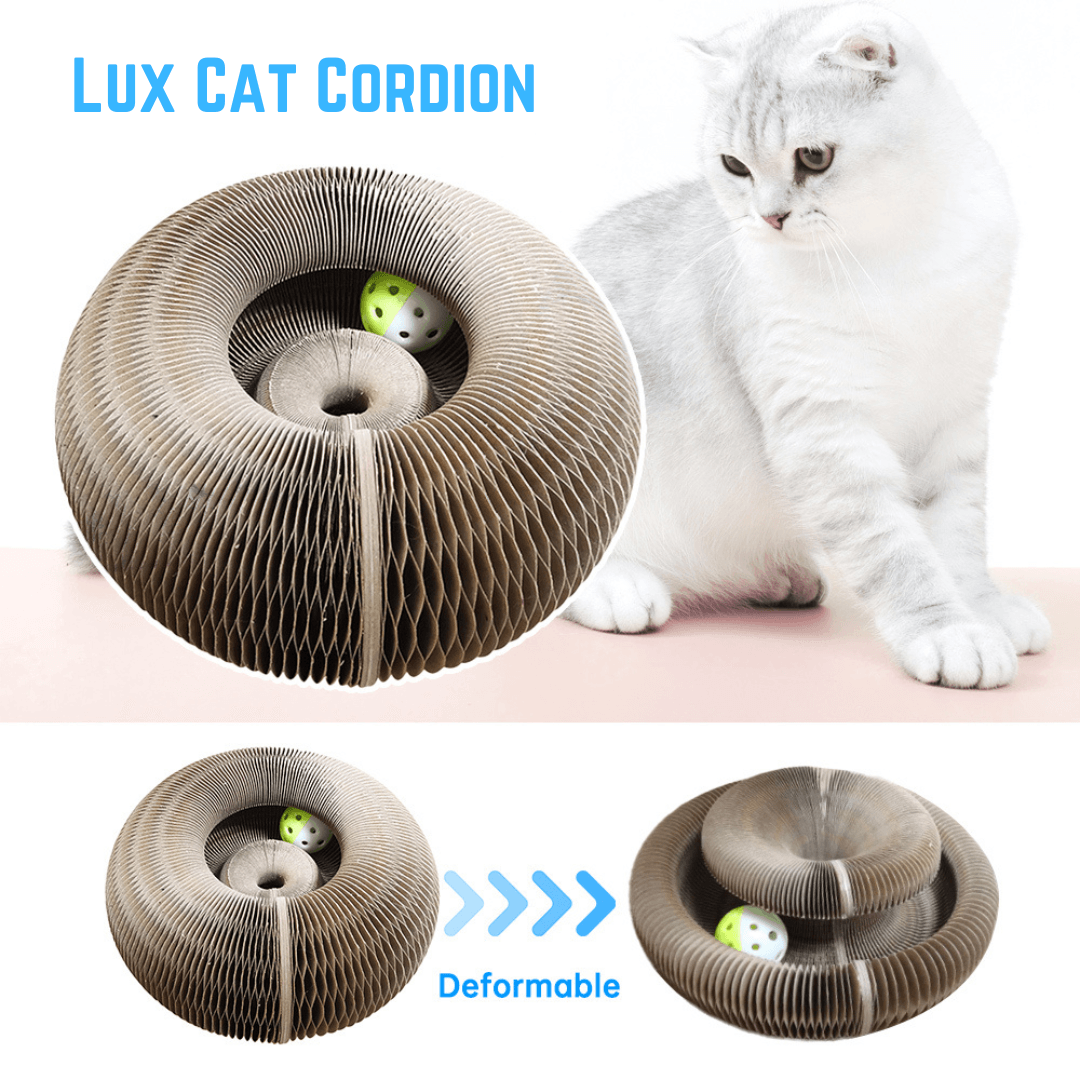 Lux Cat Cordion - Luxinsly