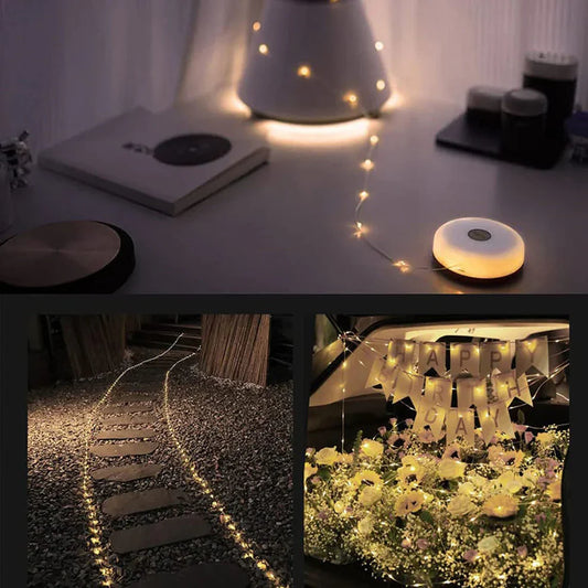 Transportable LED Lights Garland | Last Day Sale! - Luxinsly